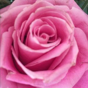 Meet your Posher, Naomi